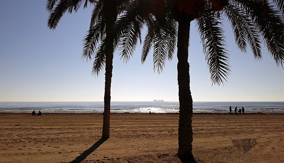 Beach life