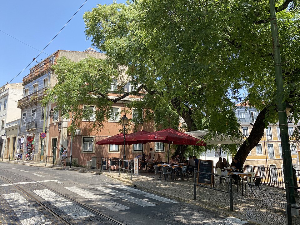 Stadsvandringar